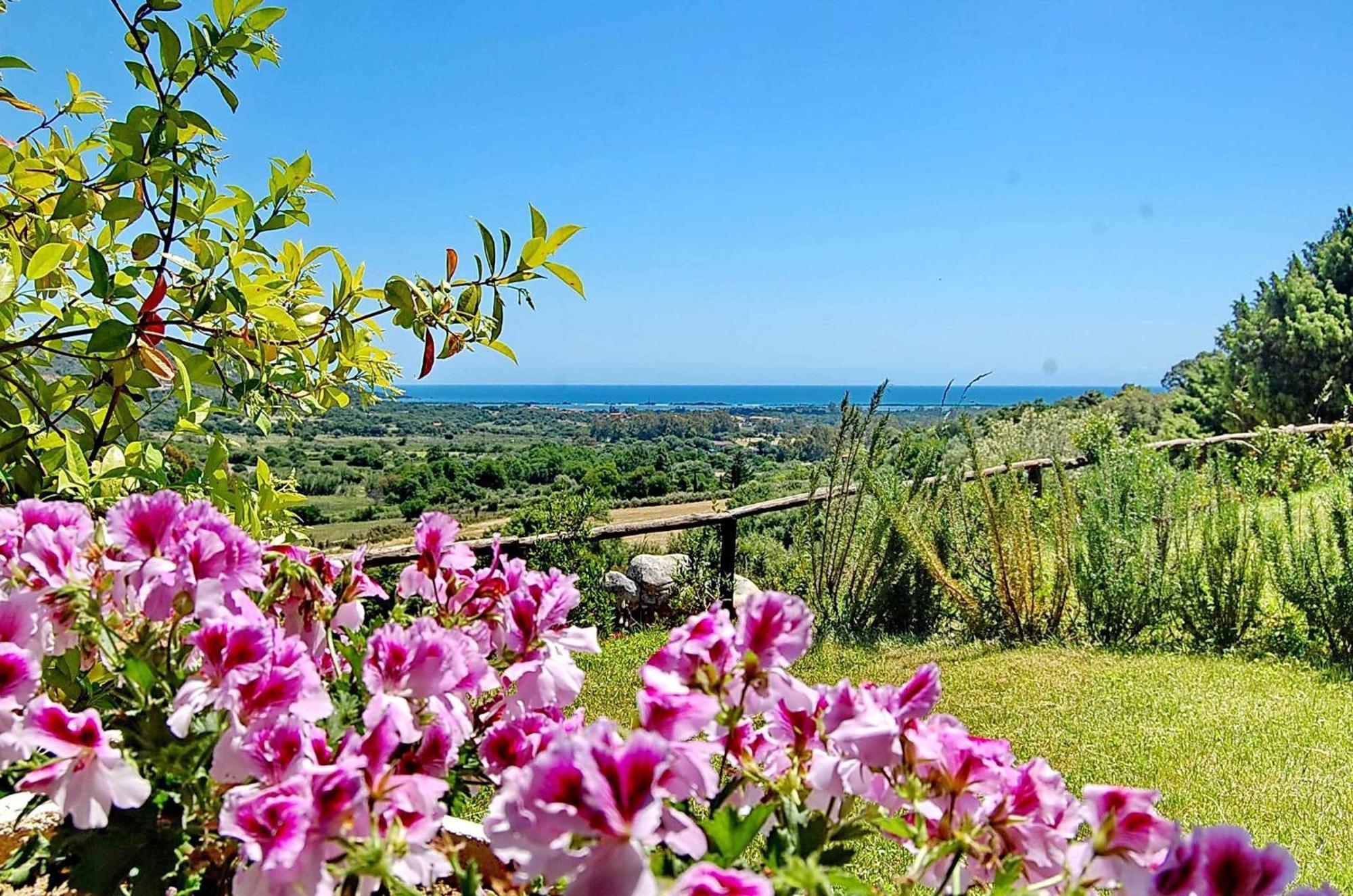 Li Teggi Turismo Rurale Сан-Теодоро Екстер'єр фото